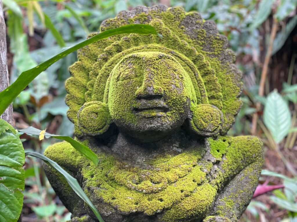A statue covered in lichen at the Kona Cloud Forest Sanctuary