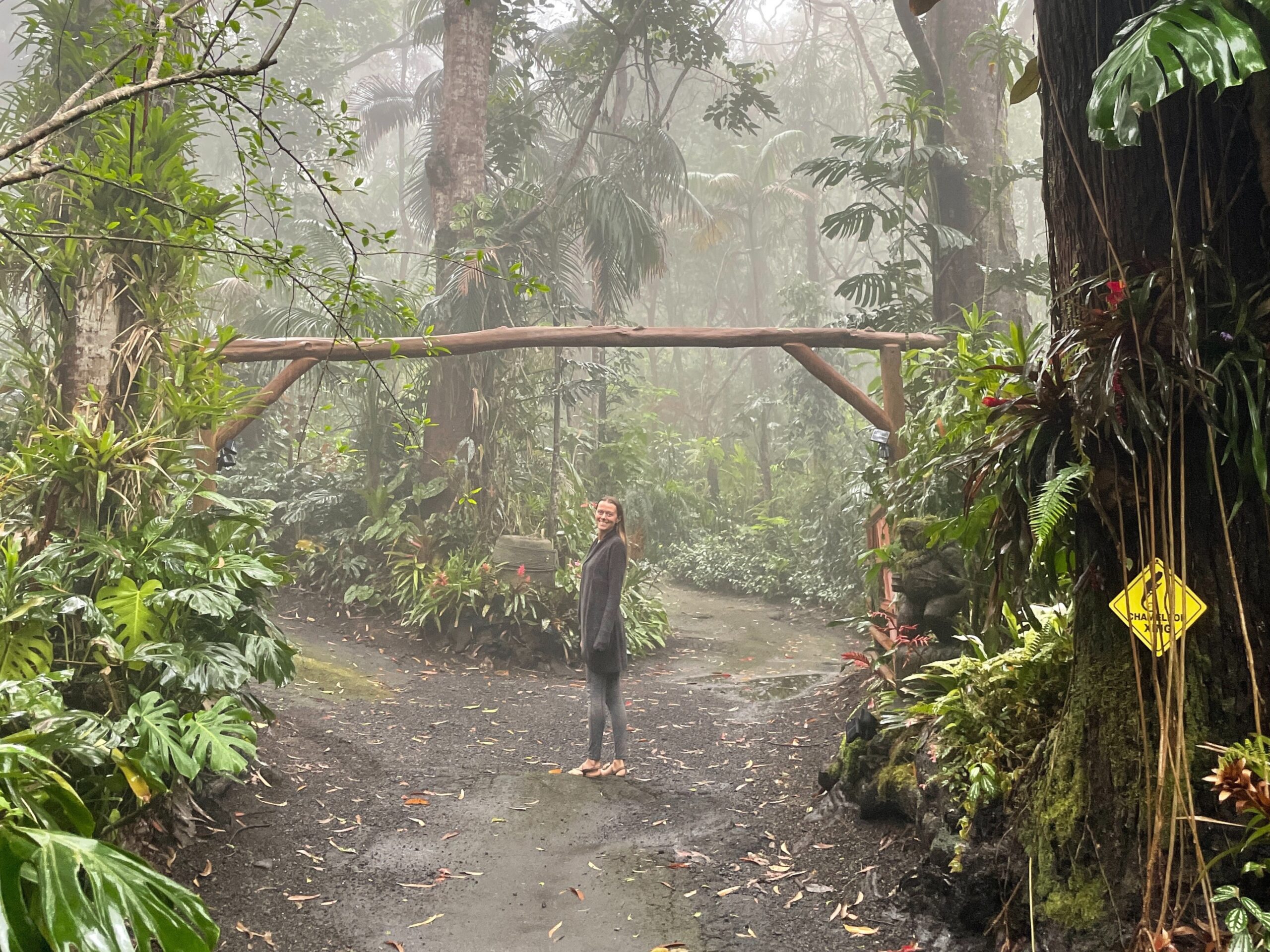 A woman standing on a mist covered trail crossroad at the Kona Cloud Forest Sanctuary