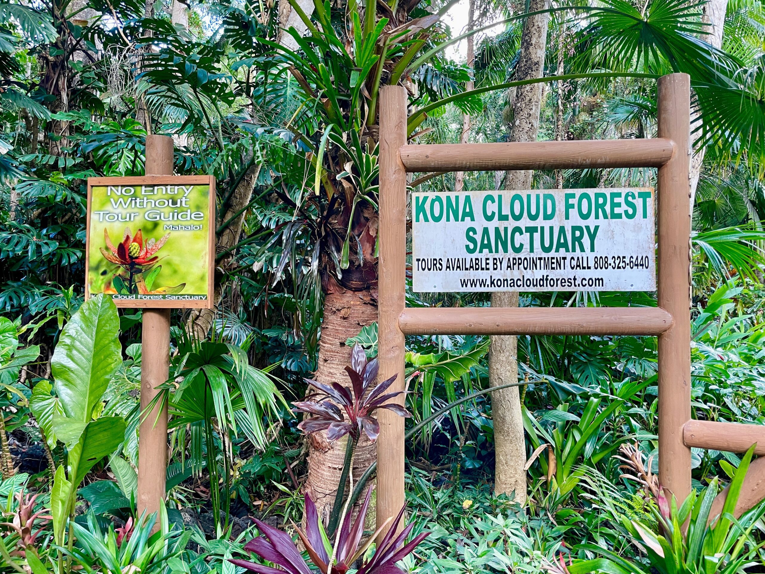 Entrance to the Kona Cloud Forest Sanctuary in Kona Hawaii
