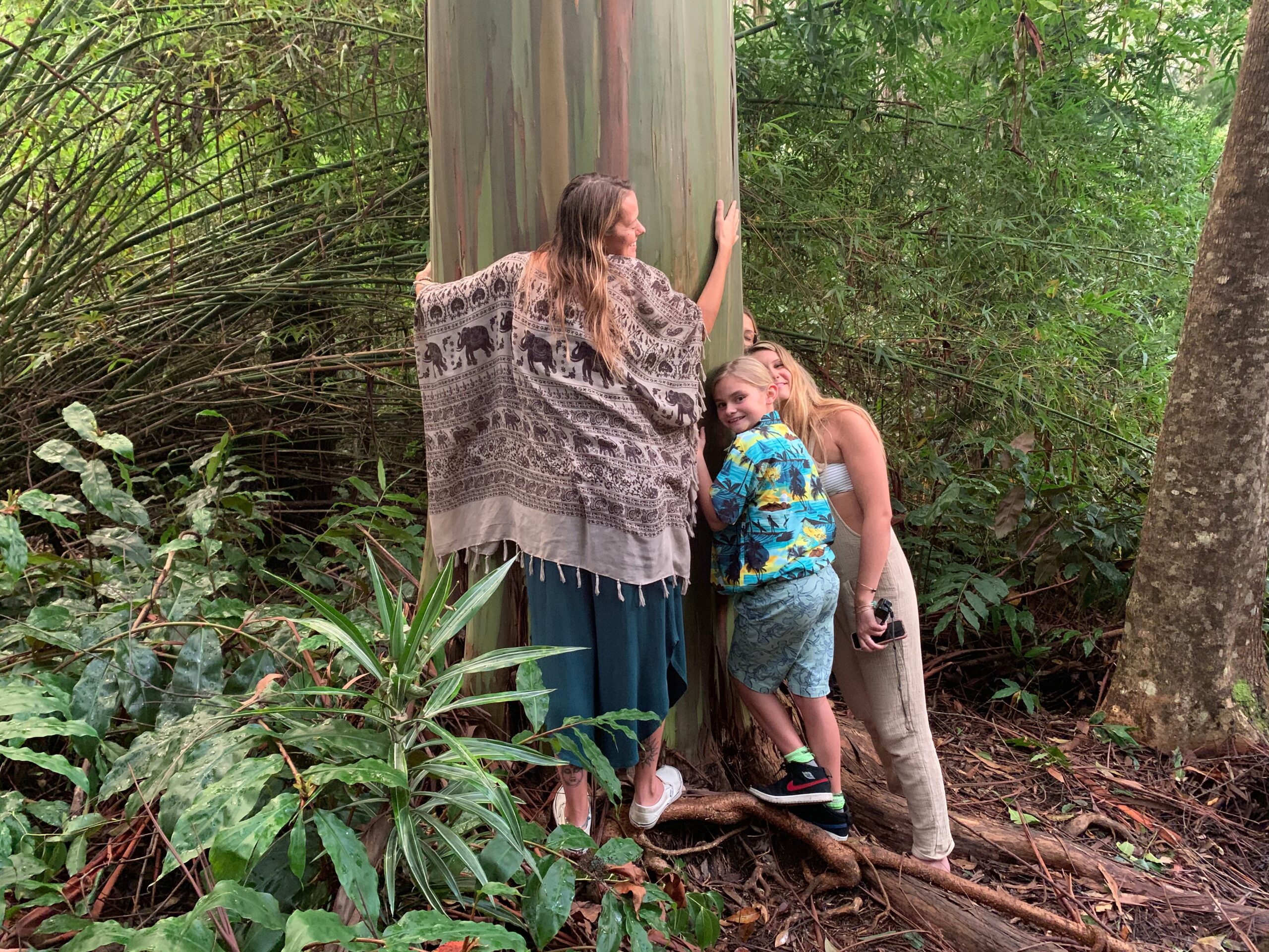 Embracing a tree at the Kona Cloud Forest Sanctuary
