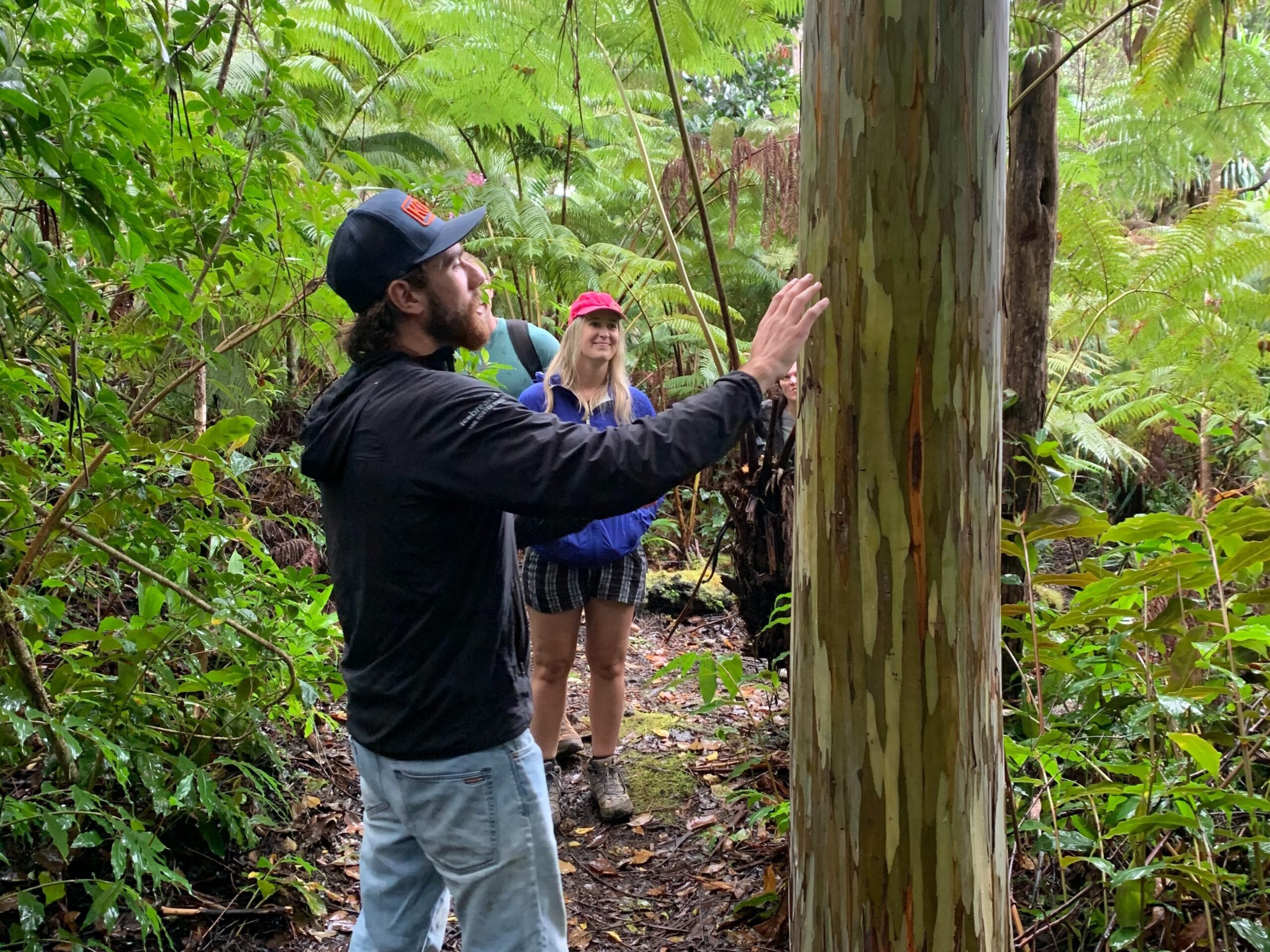 A group of people admiring a young rainbow eucalyptus tree