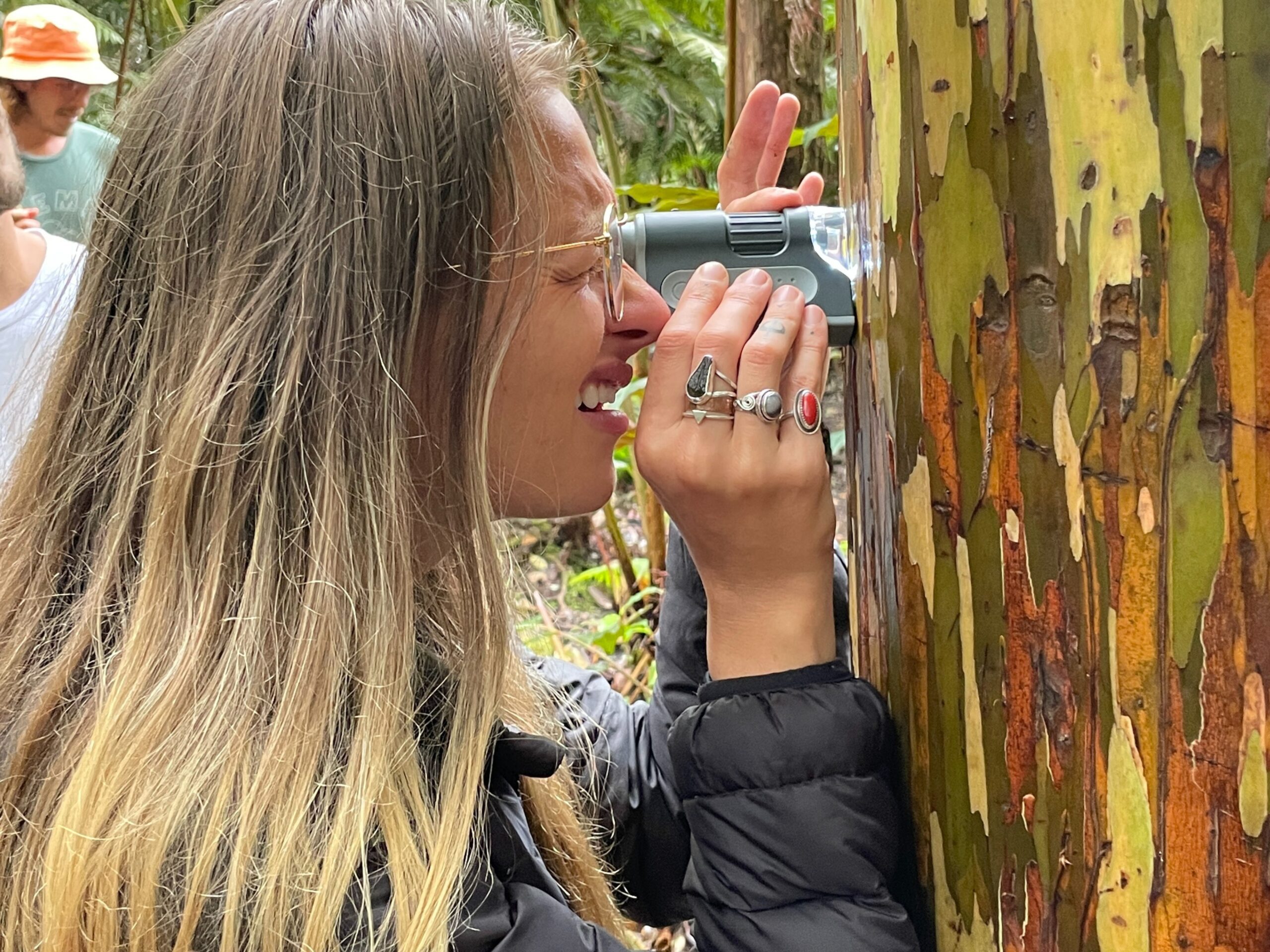 Visitor analyzing a tree at the Kona Cloud Forest Sanctuary