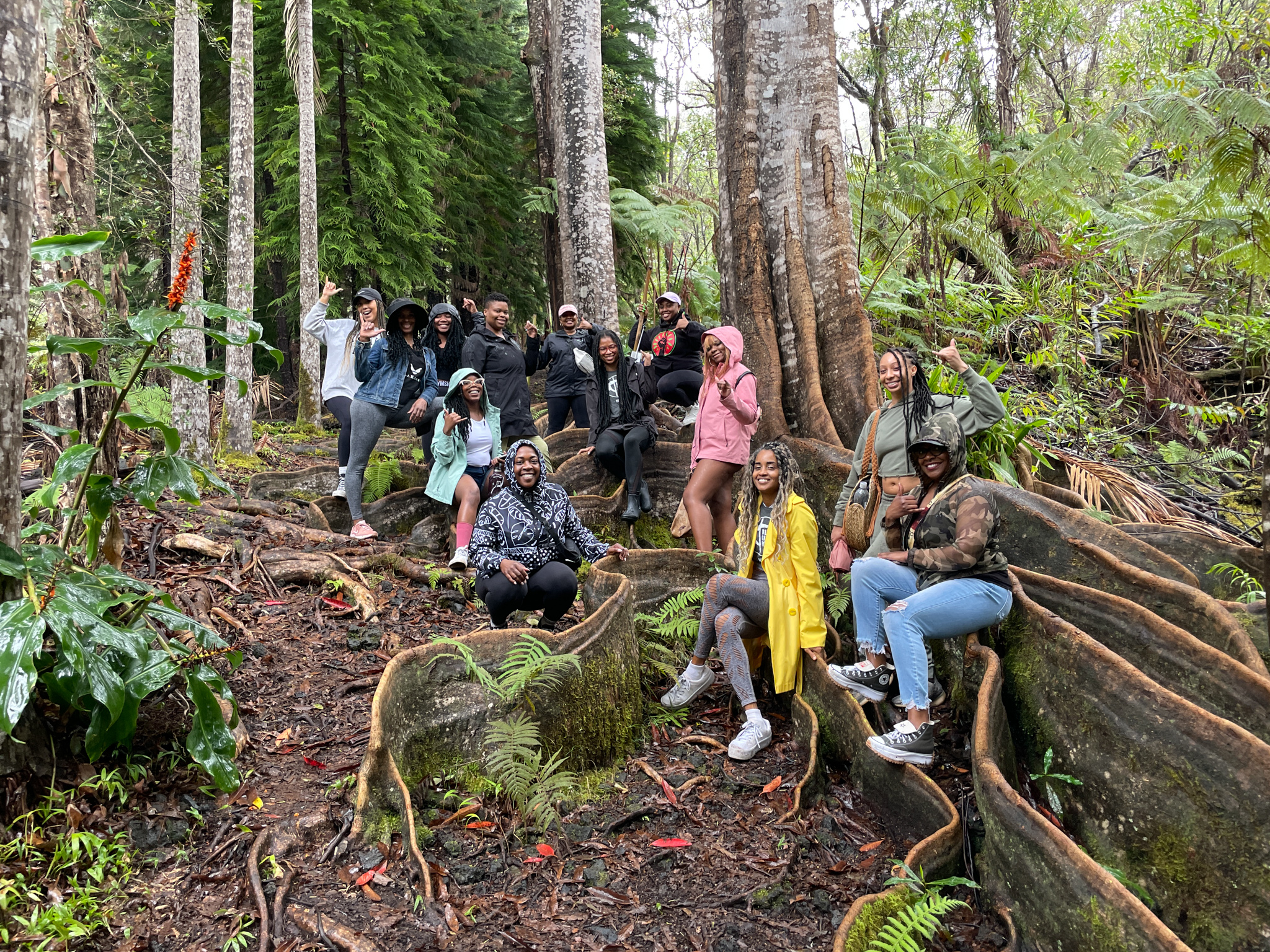 A group photo on buttressed roots at the Kona Cloud Forest Sanctuary