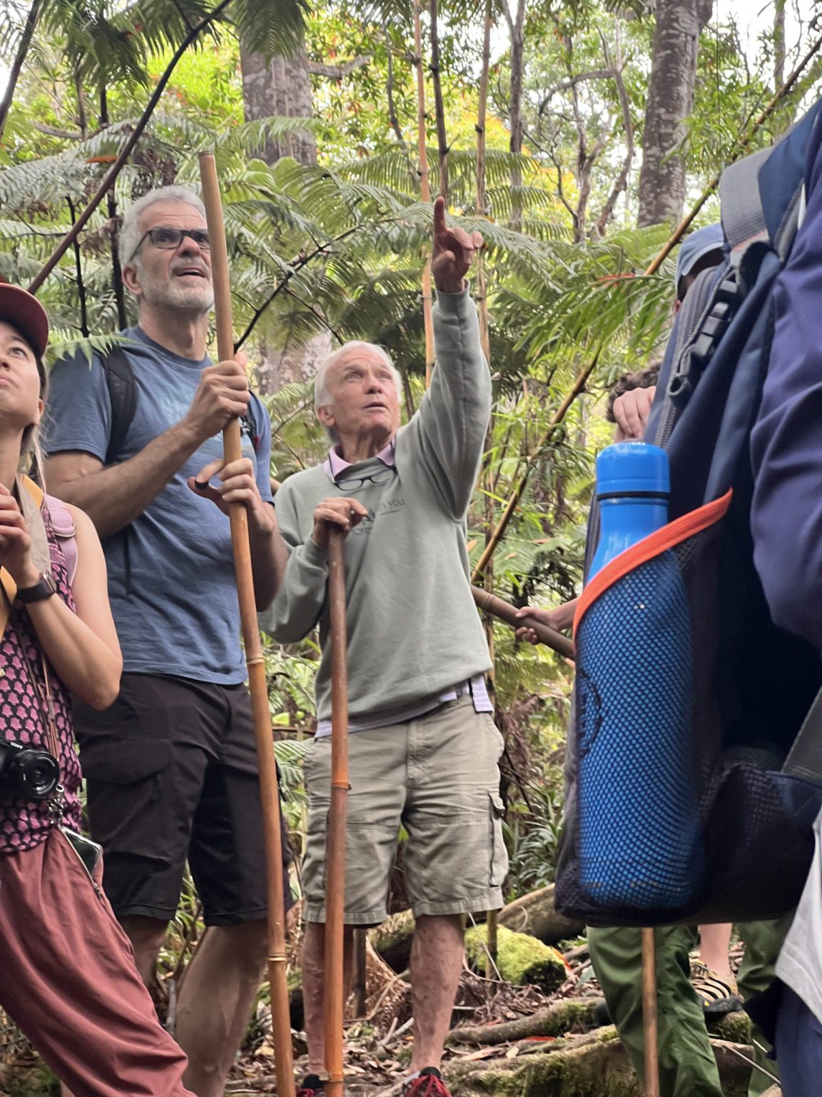 Kona Cloud Forest Sanctuary Tours